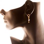 Pendientes Doble Aro LLave y Brillante